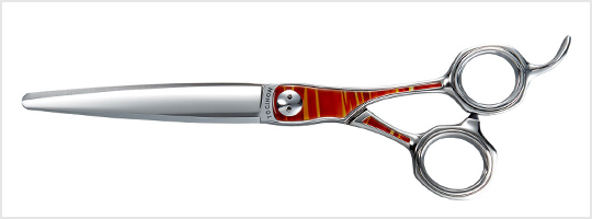 タイプアール - TOGINON