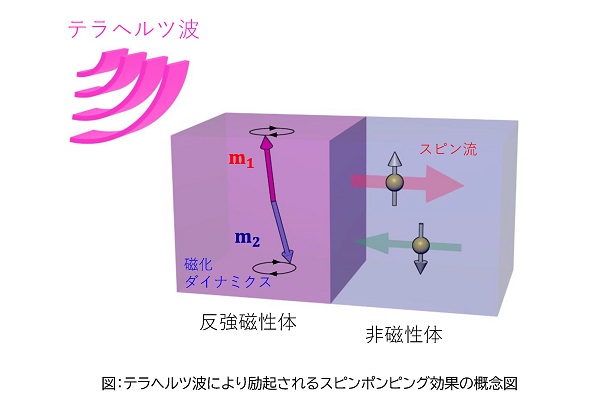 テラヘルツ波がスピン流に変換される機構を実証・解明 | プレス