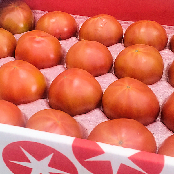 NKKアグリドリーム『スーパーフルーツトマト』 - 東京青果株式会社