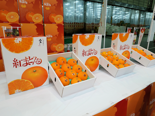 2025年度 松山農林水産物ブランド『紅まどんな』トップセールス - 東京