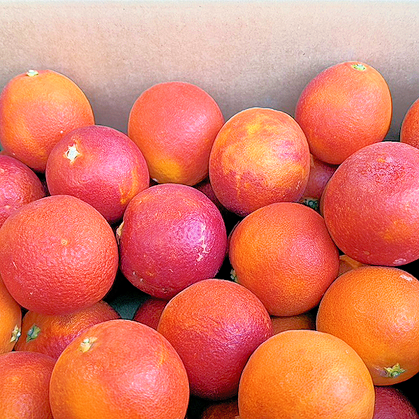 えひめ南農協『ブラッドオレンジ』 - 東京青果株式会社