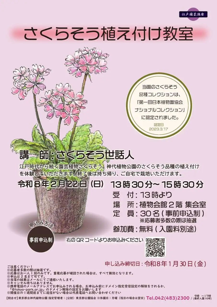 さくらそう植え付け教室」開催のお知らせ｜公園へ行こう！