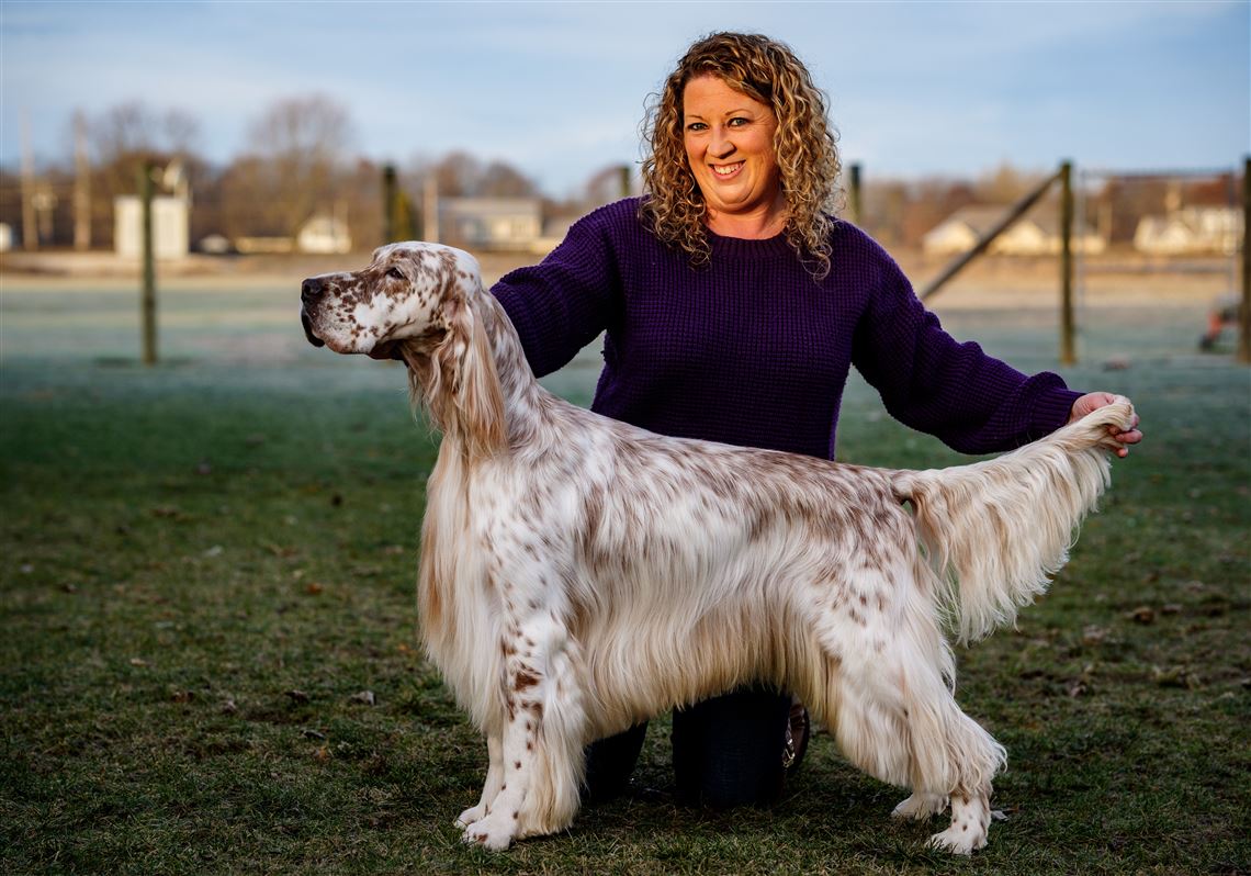 2 local dogs competing in Thanksgiving Day National Dog Show | The