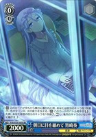 ムキムキになっちゃった！？【ヴァイスシュヴァルツトレカお買得価格