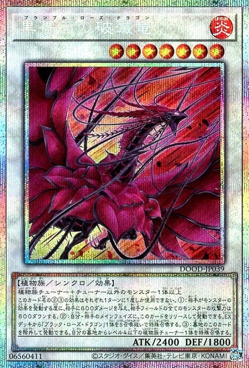 黒薔薇の破滅竜【遊戯王トレカお買得価格通販：CBトレコロ】