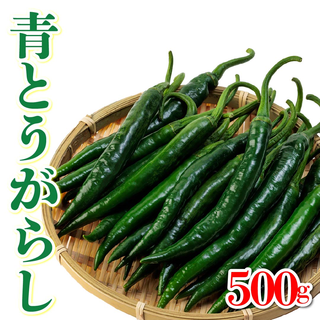 青とうがらし（500g）A品 | 高知野菜・果物のお取り寄せなら通販