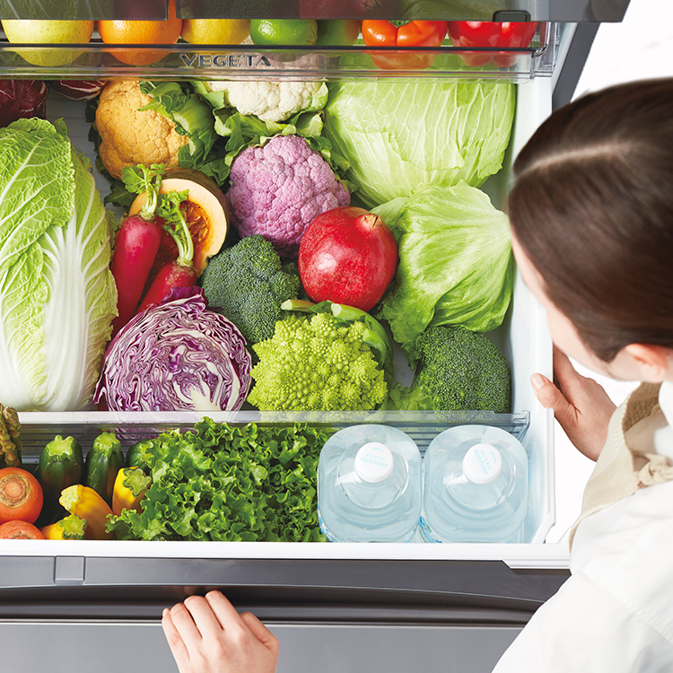 GR-T470GZ | 冷蔵庫 | 東芝ライフスタイル株式会社