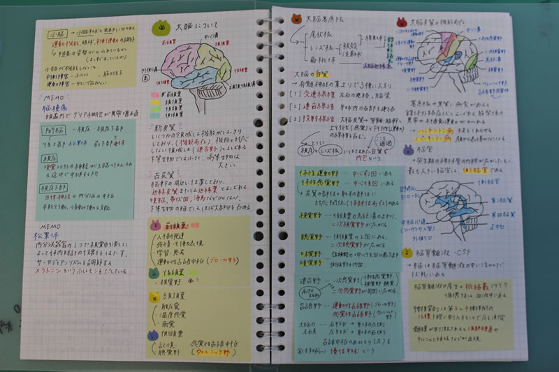 国家試験対策｜富山市立看護専門学校
