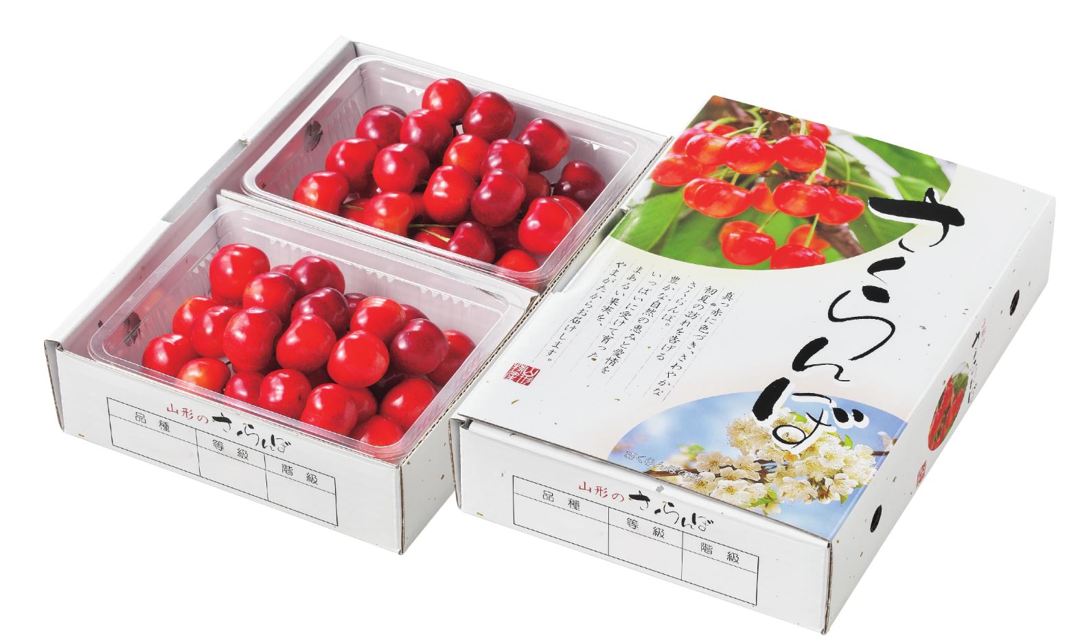 さくらんぼ｜天の童｜JAてんどうフーズ通信販売