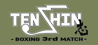 那須川天心】 ボクシング バススタオル