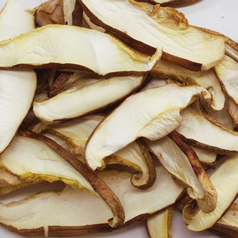 シイタケ - 乾燥機の大紀産業株式会社