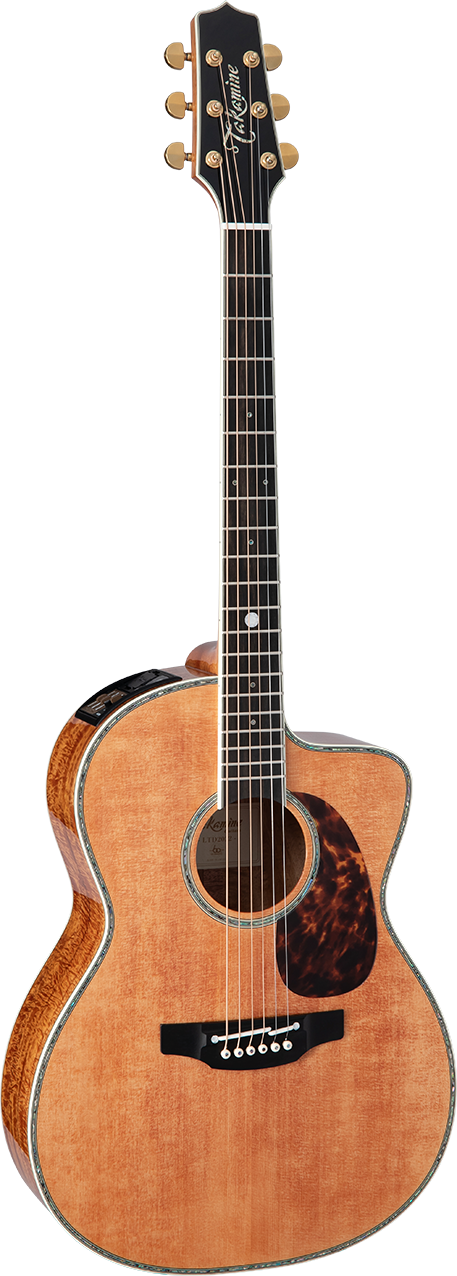 LTD2022｜限定モデルギター｜高峰楽器製作所 - タカミネギター