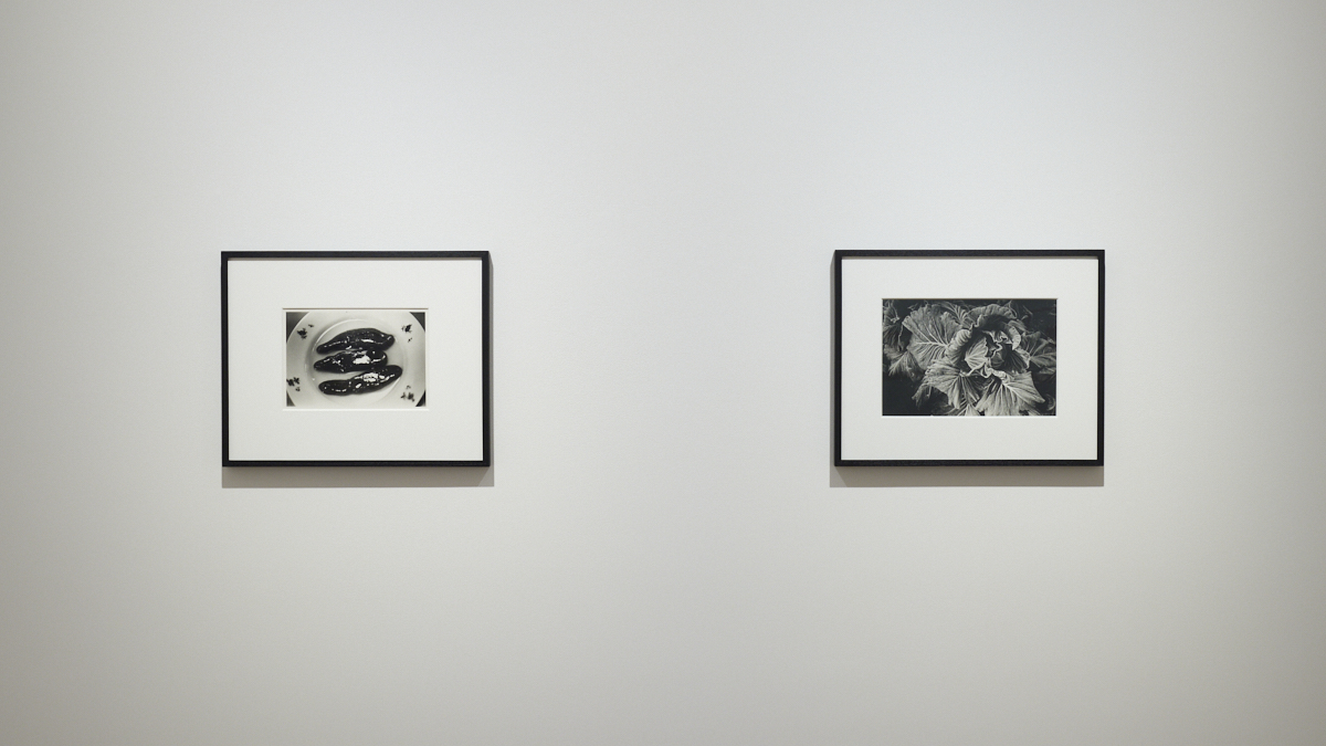 森山大道｜Vintage prints from the 80's | タカ・イシイギャラリー