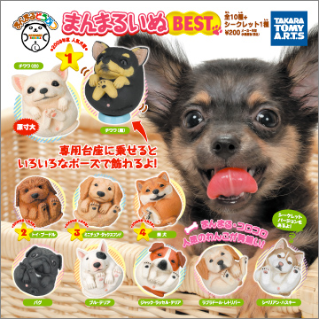 まんまるどうぶつ まんまるいぬBEST｜商品情報｜タカラトミーアーツ