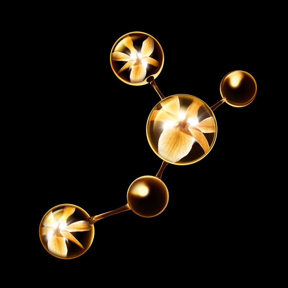 CHANEL サブリマージュ ラ クレーム フィンの通販 | コスメ・デパコス