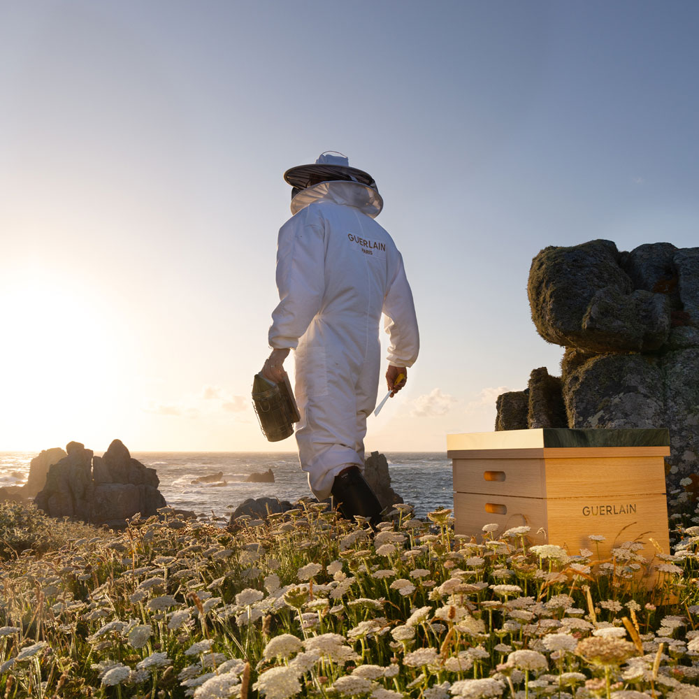 GUERLAIN（ゲラン） アベイユ ロイヤル クレンジング オイルの通販