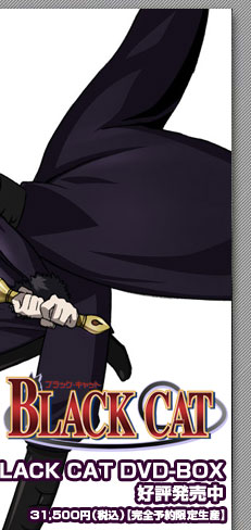 TVアニメーションブラックキャットHP