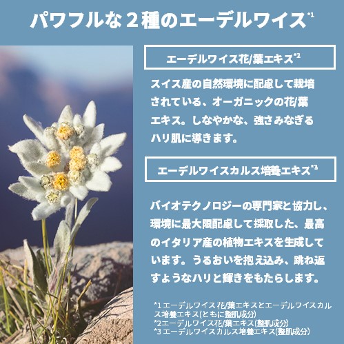 EDW コンセントレート セラム 50mL (美容液)｜ THE BODY SHOP（ザ