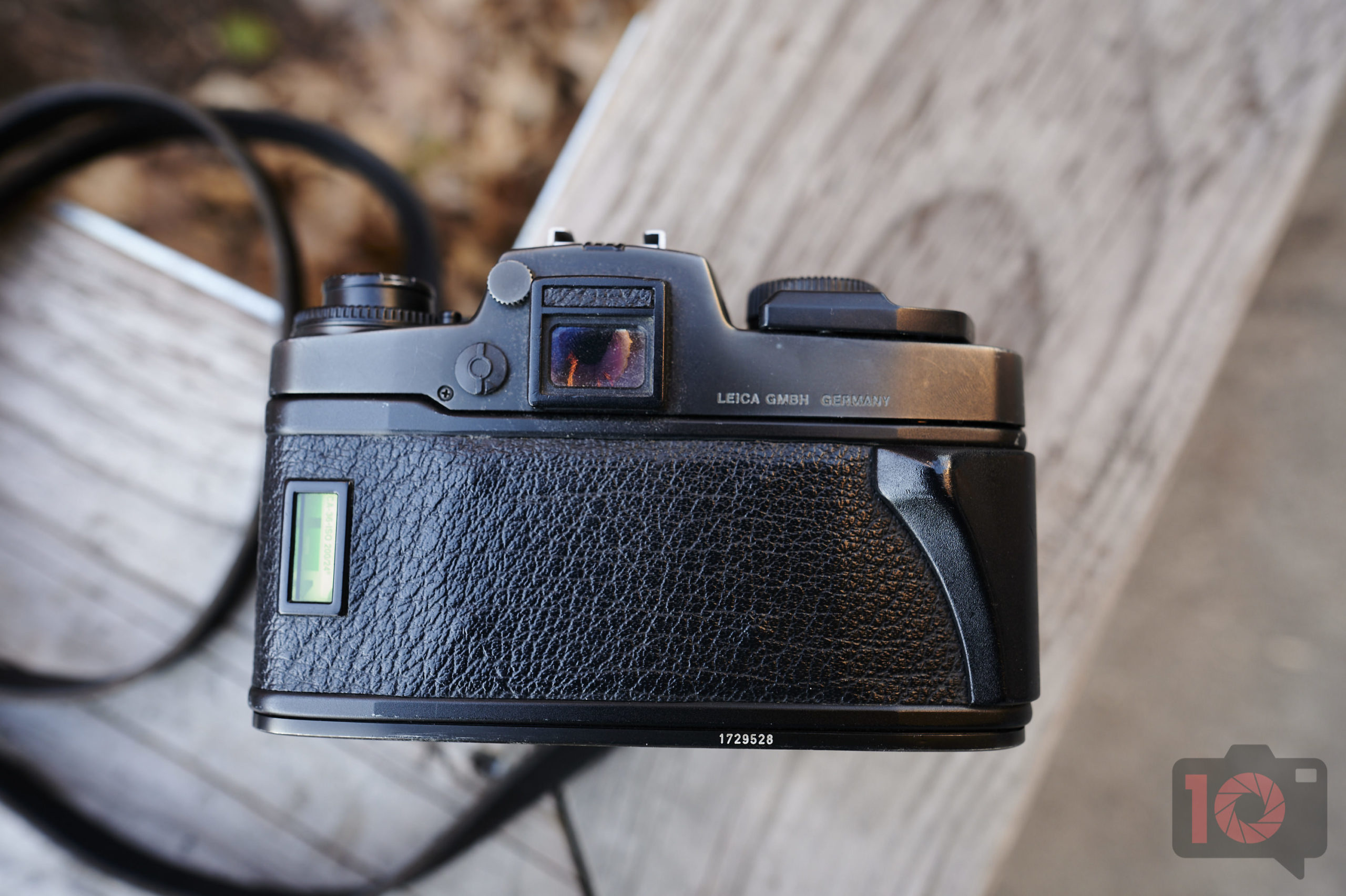 Vintage Camera Review: Leica R6 (Cheap Leica, Pricey Lenses)