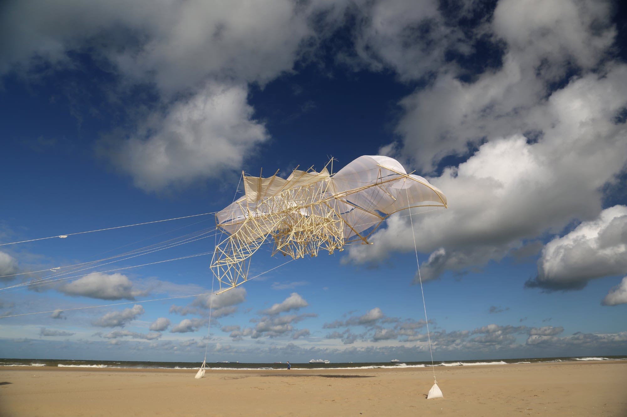 Theo Jansen's New Strandbeest Roams the Beach Like an Undulating