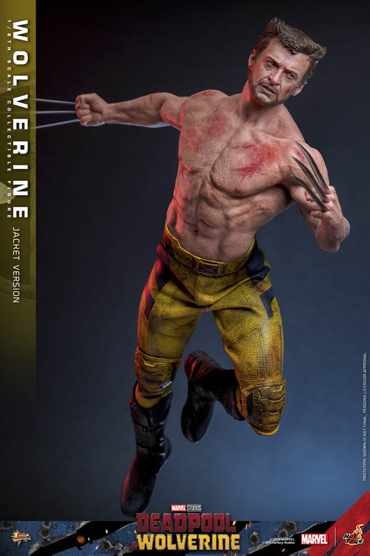Wolverine (Jacket Version) - Deadpool & Wolverine - Hot Toys