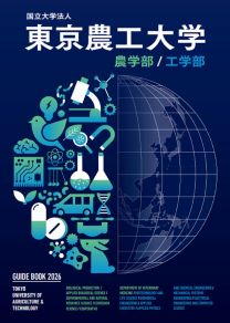 信州大学 赤本 工学部 農学部 理系 前期日程 2013年～2024年 12年分