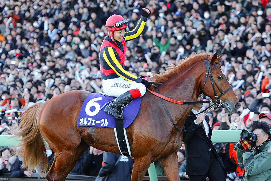 オルフェーヴル 暴君の成長 あまりに美しすぎる金色の馬のラストラン