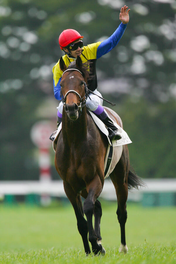 日本ダービー】2005年ディープインパクト「飛ぶような走り」でダービー