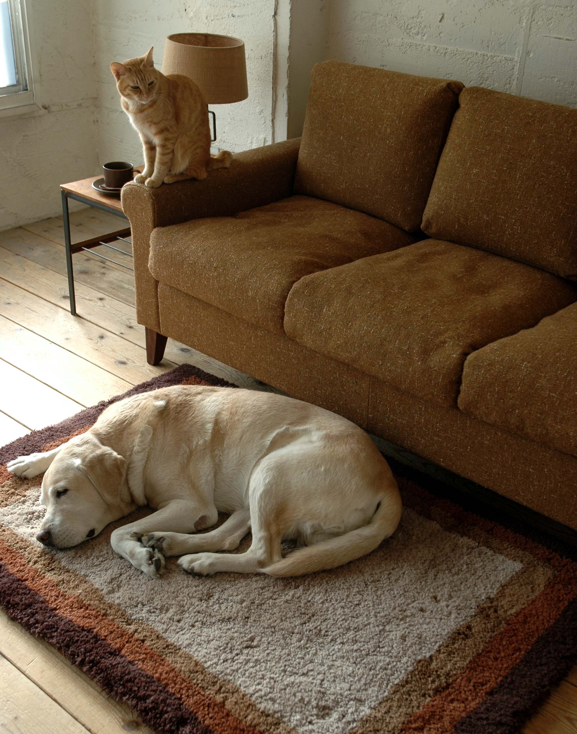 RUG | TRUCK FURNITURE