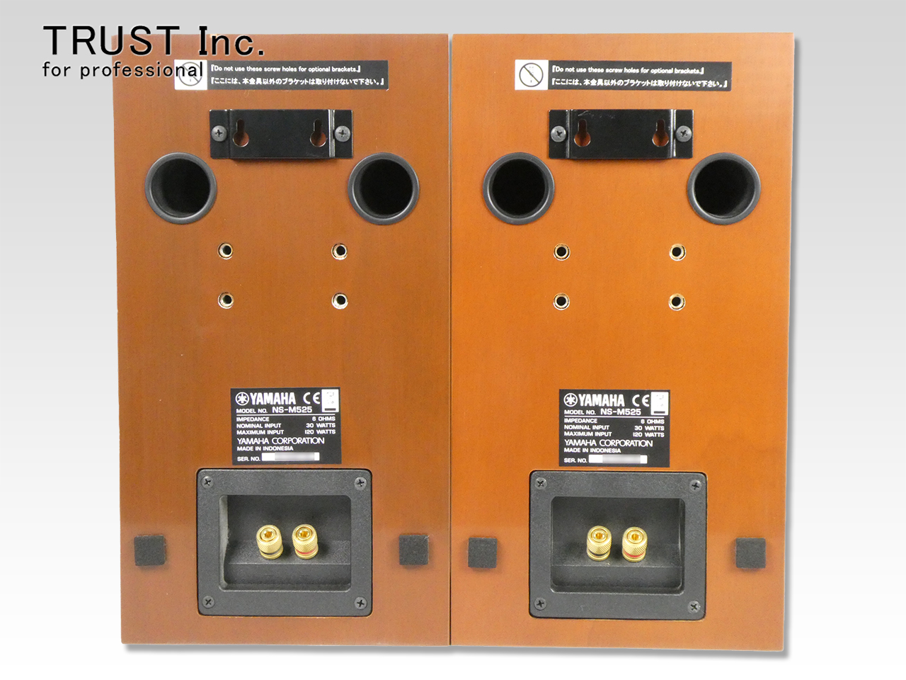 NS-M525 / Speaker System【中古放送用・業務用 映像機器・音響機器の