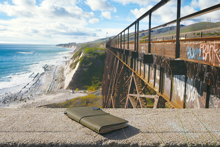 Olive Edition / オリーブエディション | TRAVELER'S COMPANY