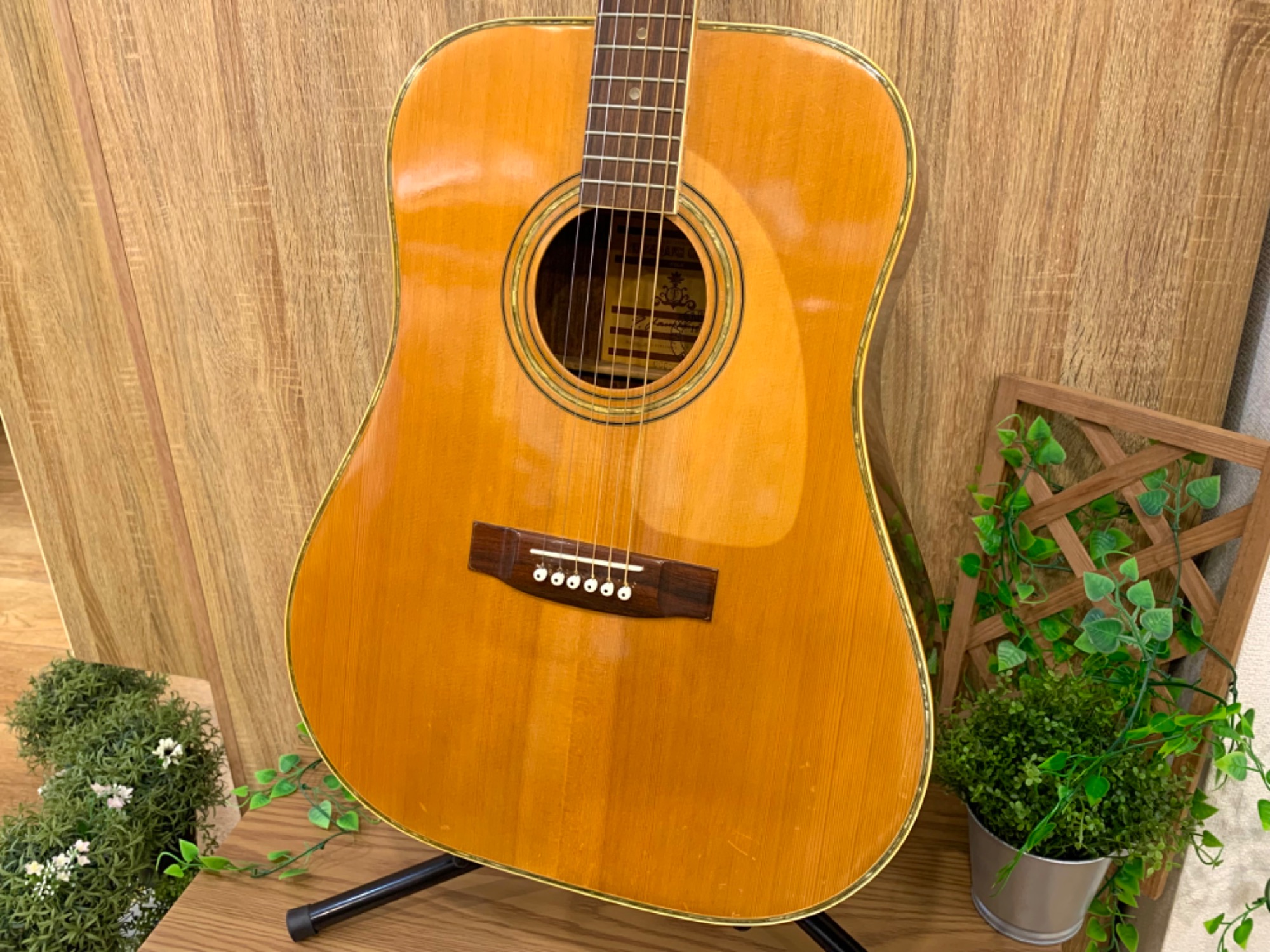 TAKEHARU GUITAR(タケハルギター)のアコースティックギターを買取入荷