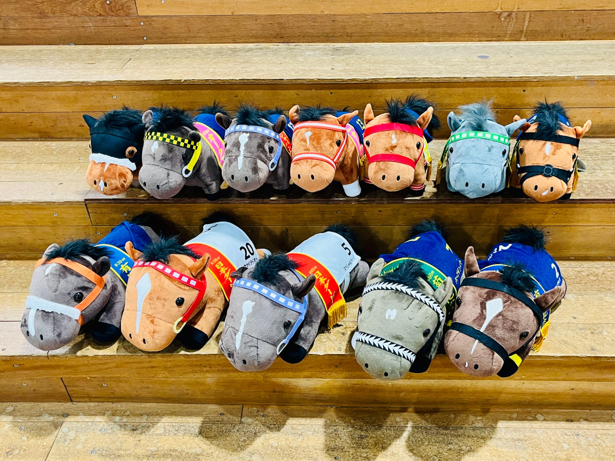 サラブレッドコレクション ぬいぐるみが買取入荷いたしました