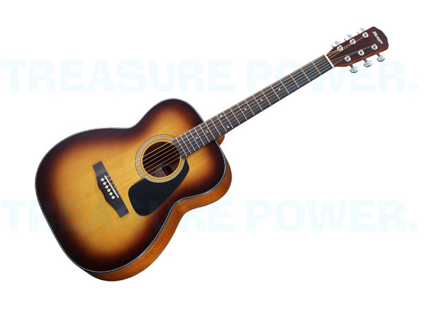 MORRIS＊ モーリス F-251/TS Acoustic Guitar アコースティックギター