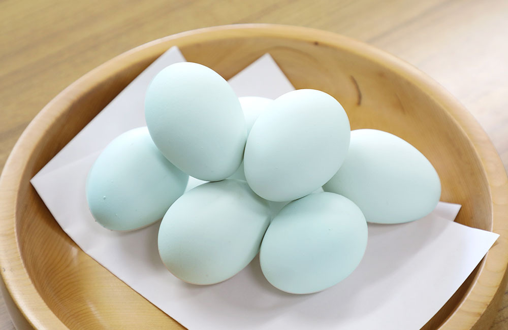 美しい翡翠ひすい色に驚き！青森県が生んだプレミアムな「あすなろ卵