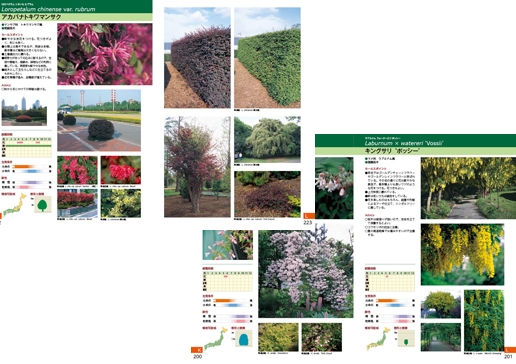 改訂版新樹種ガイドブック｜出版物｜一般社団法人日本植木協会
