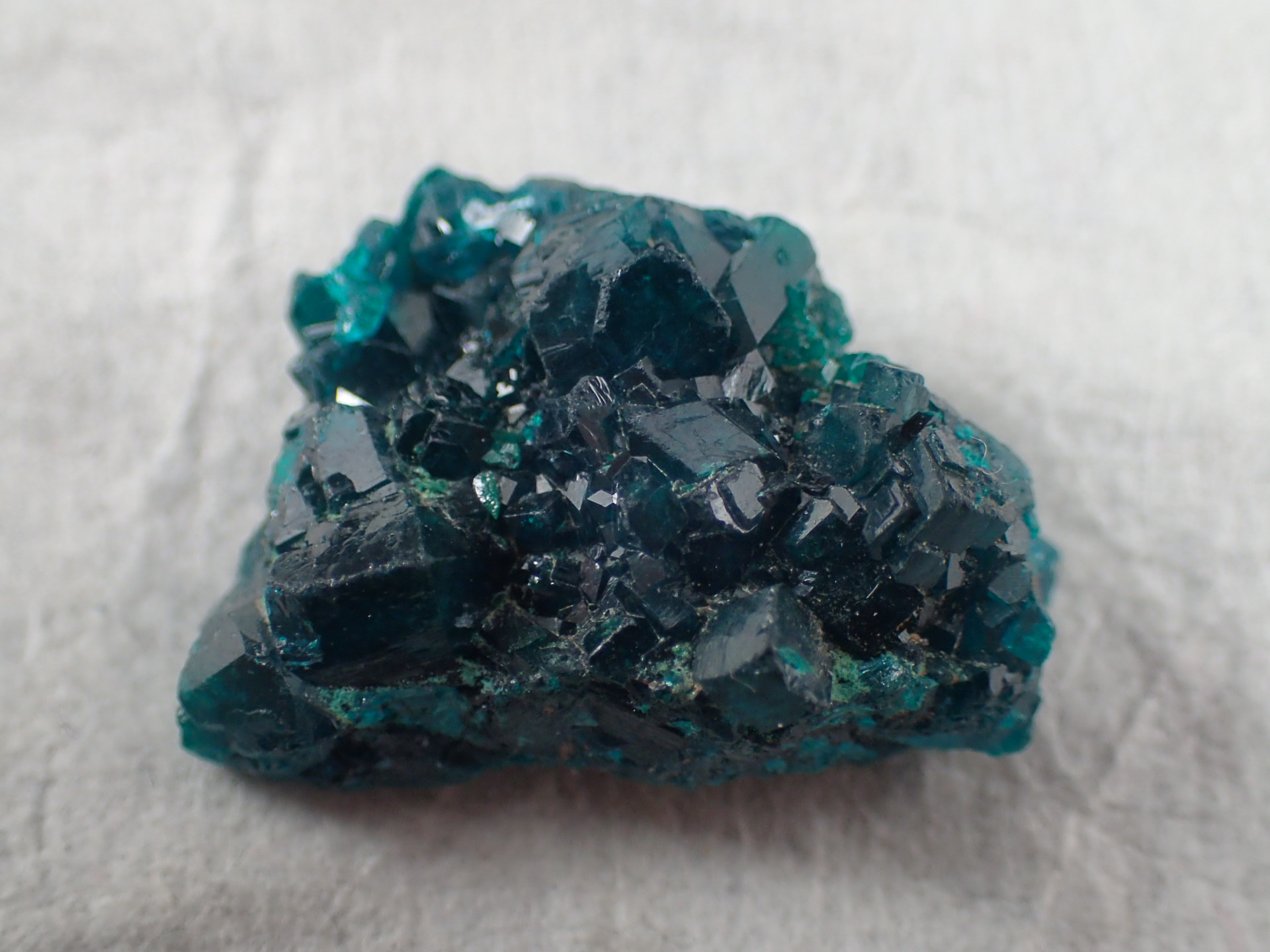 最高品質翠銅鉱（ダイオプテーズ）Kimbedi, Mindouli , Pool, Republic