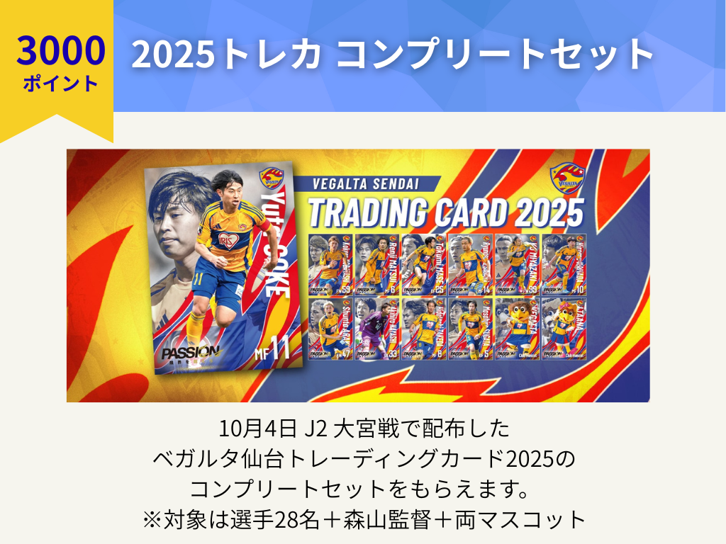 ベガルタ仙台 イヤーDVD 2011：未開封DVD ジャンク 未検品】未開封