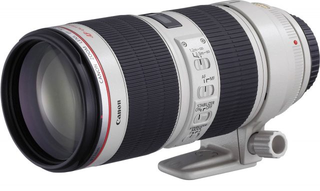 Canon Ultrasonic Camera Lenses – Vivid Features