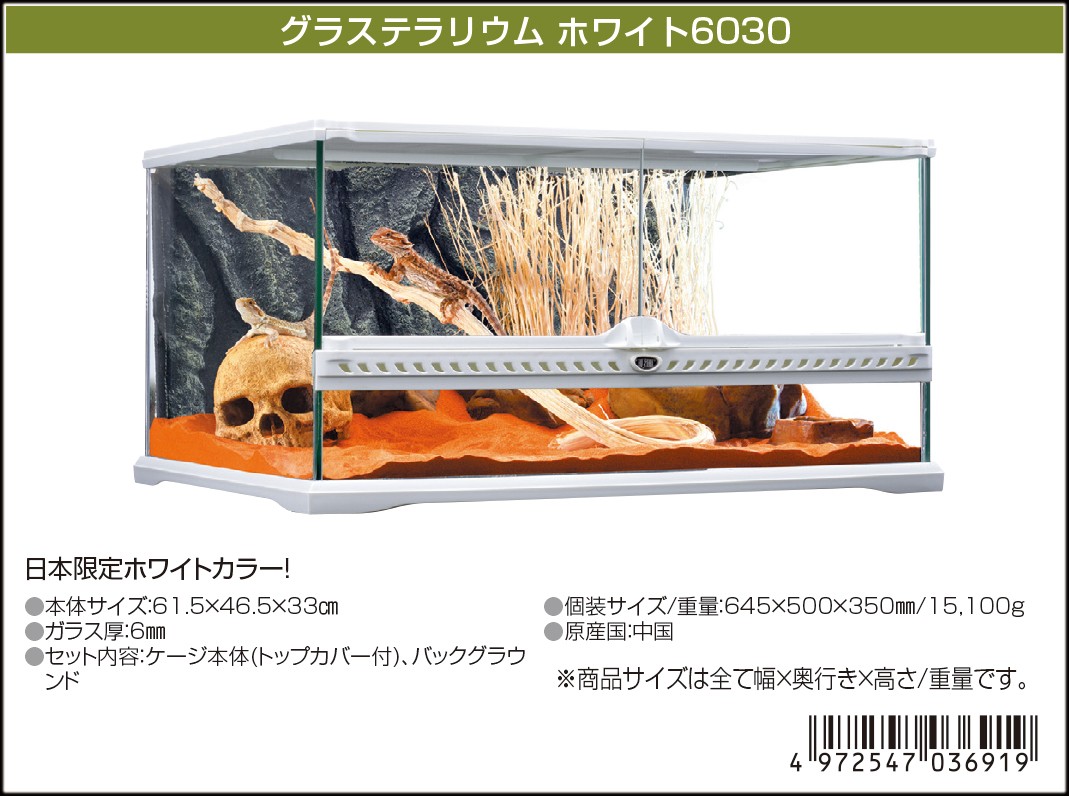 グラステラリウムホワイト6030 エキゾテラ ジェックス 販売 通販