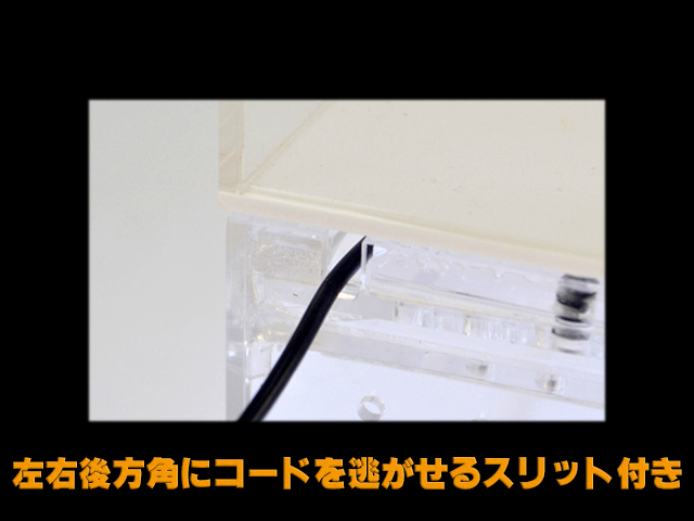 レプタイルボックスワイド 三晃商会 アクリル飼育ケース 販売 通販