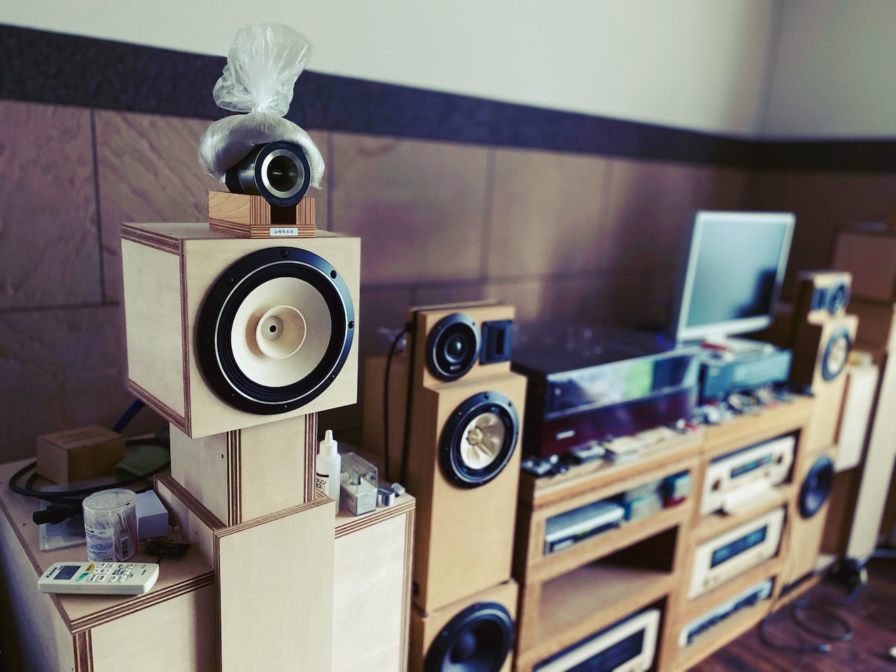 Fostex FE208-Sol の真髄を「ハシビロコウ」で聴く – Xperience