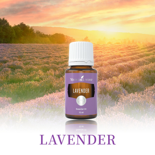 製品情報 Archives - ヤング・リビング 公式ブログ