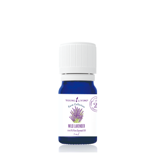 サイバーマンデーセール｜4日間限定！今年最後のビッグセール