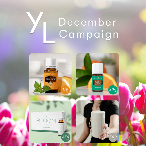 新製品、限定販売製品、キャンペーン製品を一覧でご紹介しています