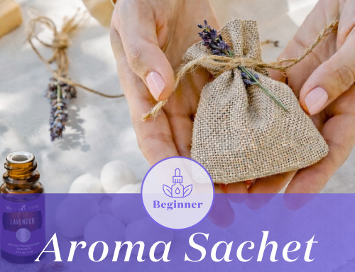 新製品｜「カクタスディフューザー」がついに単品で販売開始