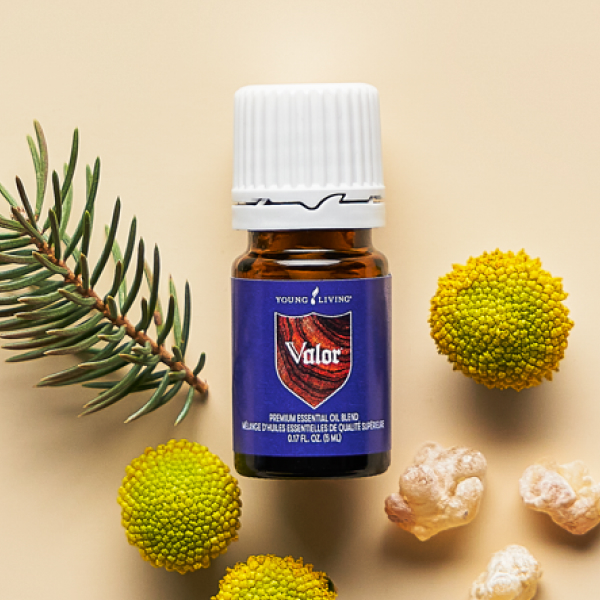 10％OFF 今月の注目製品！｜新しい年のはじまりに、健康を整える新習慣