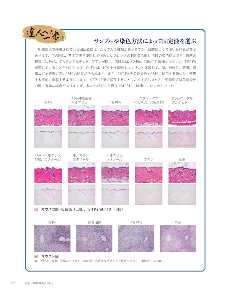 実験医学別冊：細胞・組織染色の達人〜実験を正しく組む、行う、解釈