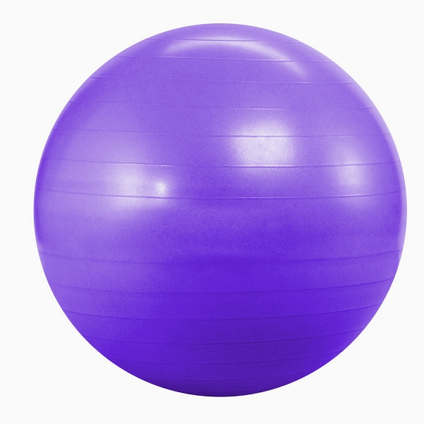 Anti-Burst-Yoga-Ball-Purple.jpg