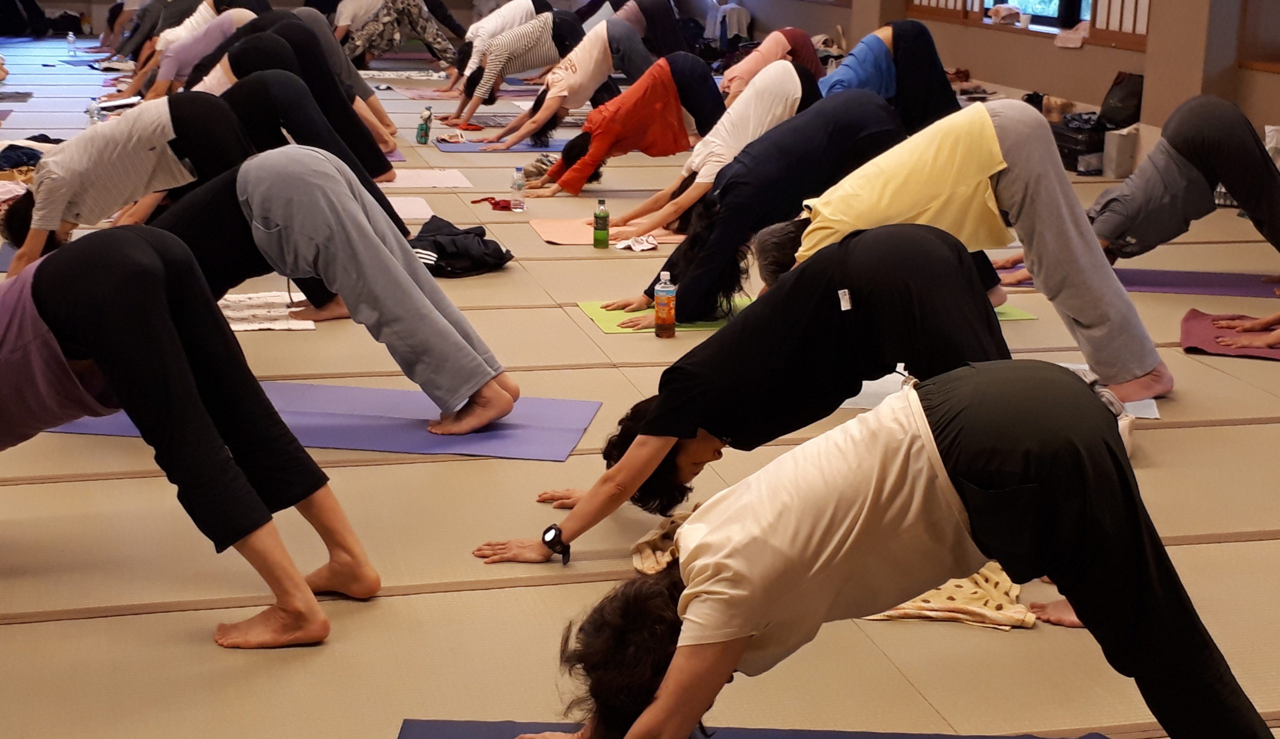 日本ヨーガ禅道友会 – ページ 2 – ヨーガで心と体を健康に